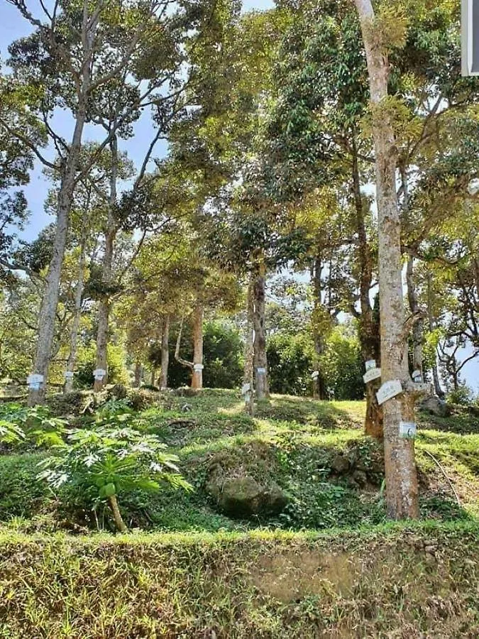 Eco Farm Hidden Resort Kampung Pantai Aceh 0*,  Malaysia